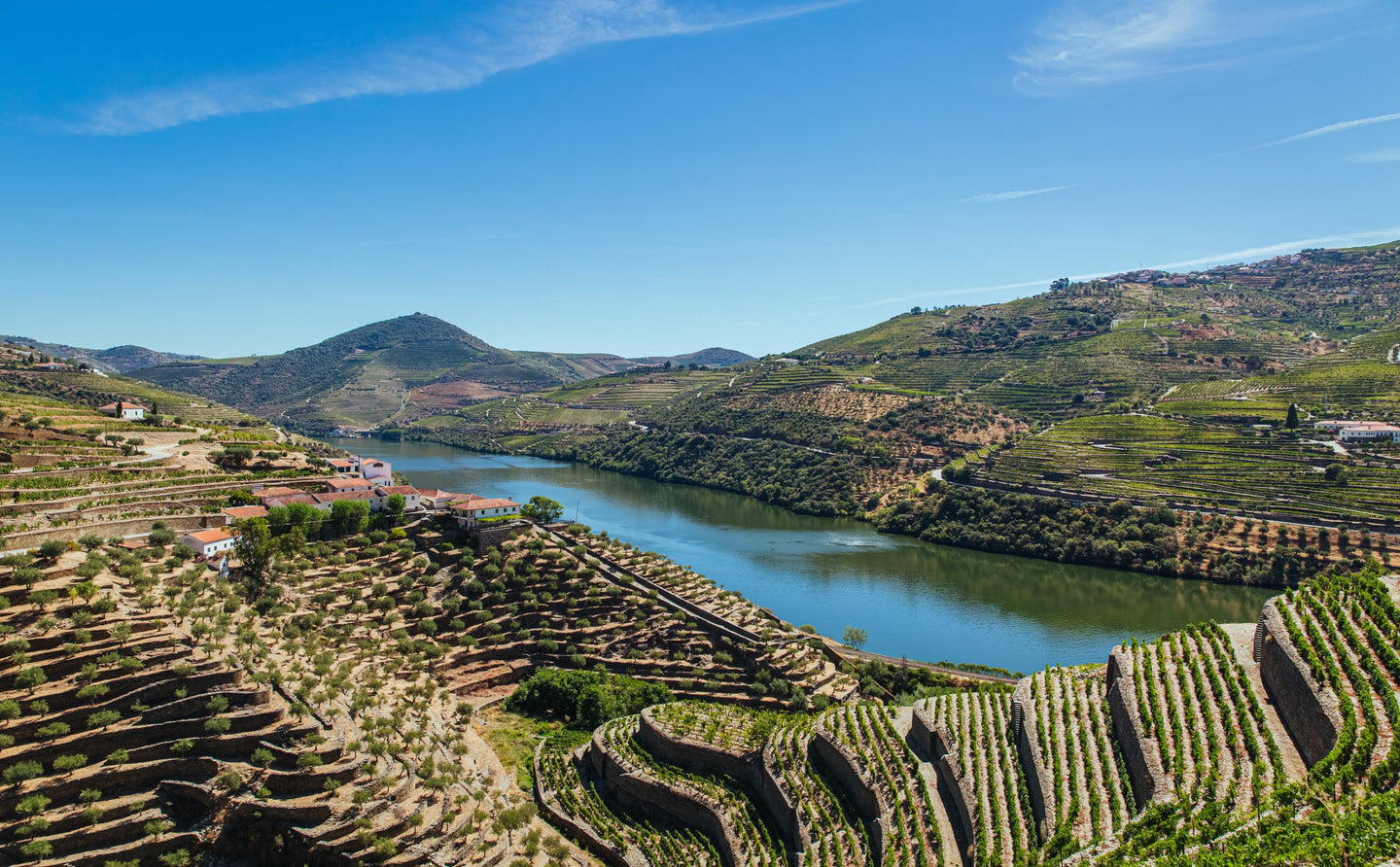 Vinhos do Douro Quinta da Boavista